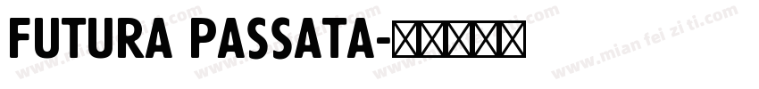 Futura passata字体转换